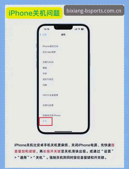 BSports安卓版完整使用指南：从下载到深度体验的必翔体育之旅